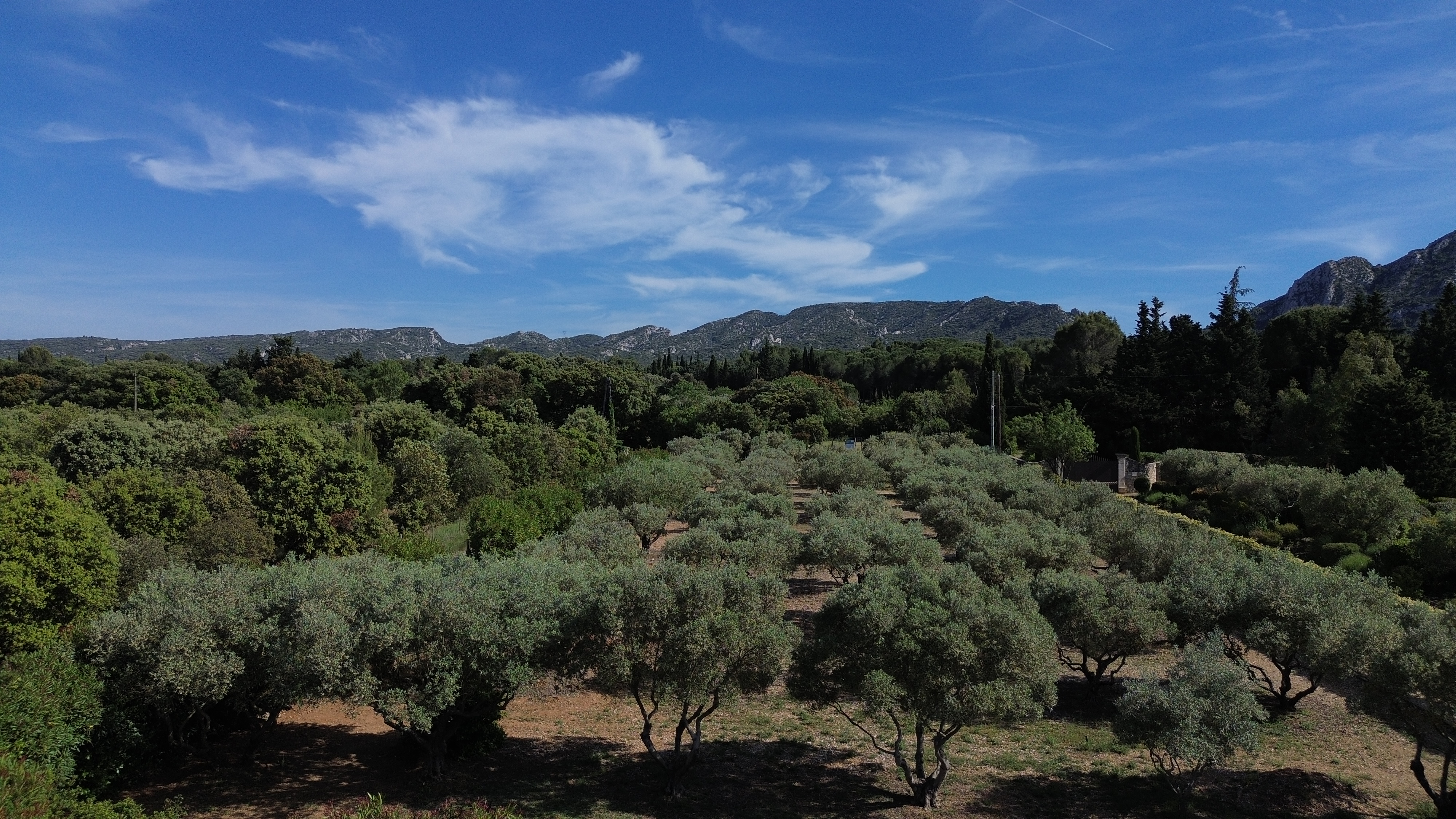 Saint-Rémy, Eygalières, Maillane, Les Baux : quatre villages, quatre ambiances